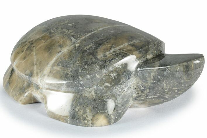Polished Imagination Marble Turtle - Philippines #309074